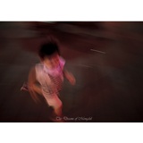 dailyPhoto12